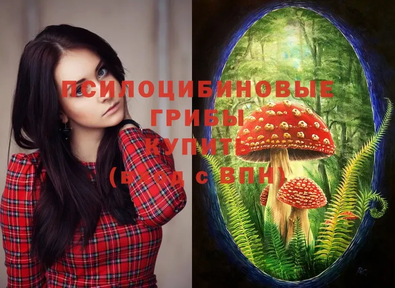 это какой сайт  Бакал  Псилоцибиновые грибы MAGIC MUSHROOMS 